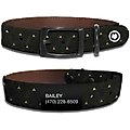 WildHound Faux-Leather Personalized Standard Dog Collar, Plaza, Black Onyx, Large