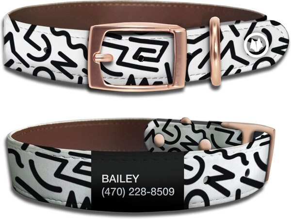 WildHound Faux-Leather Personalized Standard Dog Collar, Scribbles Wildhoundite, Rose Gold, X-Large slide 1 of 4