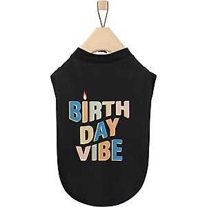 Frisco Birthday Vibe Dog & Cat T-Shirt, Large