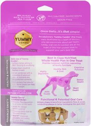Yummy Combs Ingenious Oral Care Flossing Large Breed Grain-Free Adult Dog Treats, 9 count slide 2 of 2