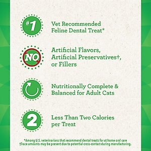 Feline Greenies Adult Natural Dental Care Cat Treat, Succulent Shrimp Flavor, 4.6-oz bag
