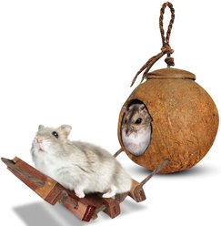SunGrow Hamster & Gerbil Coconut Hut with Ladder Hideout Accessory Small Animal House, 5-in