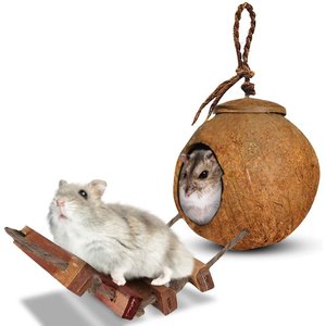 SunGrow Hamster & Gerbil Coconut Hut with Ladder Hideout Accessory Small Animal House, 5-in