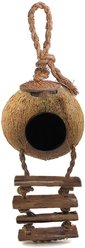 SunGrow Hamster & Gerbil Coconut Hut with Ladder Hideout Accessory Small Animal House, 5-in slide 2 of 6