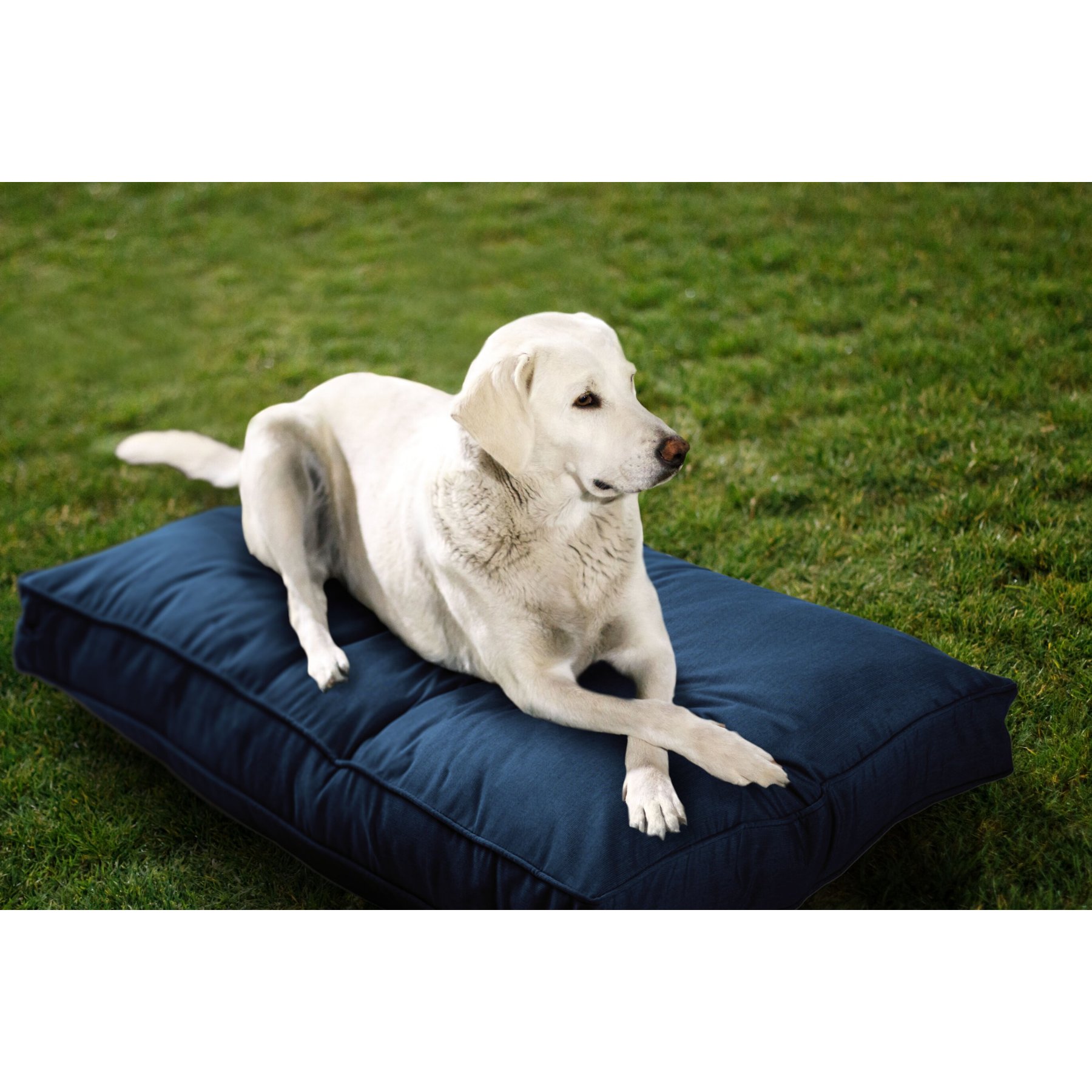 Sunbrella outdoor dog bed discount