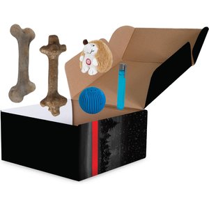 Pet Qwerks Holiday Large Gift Box Dog Toy