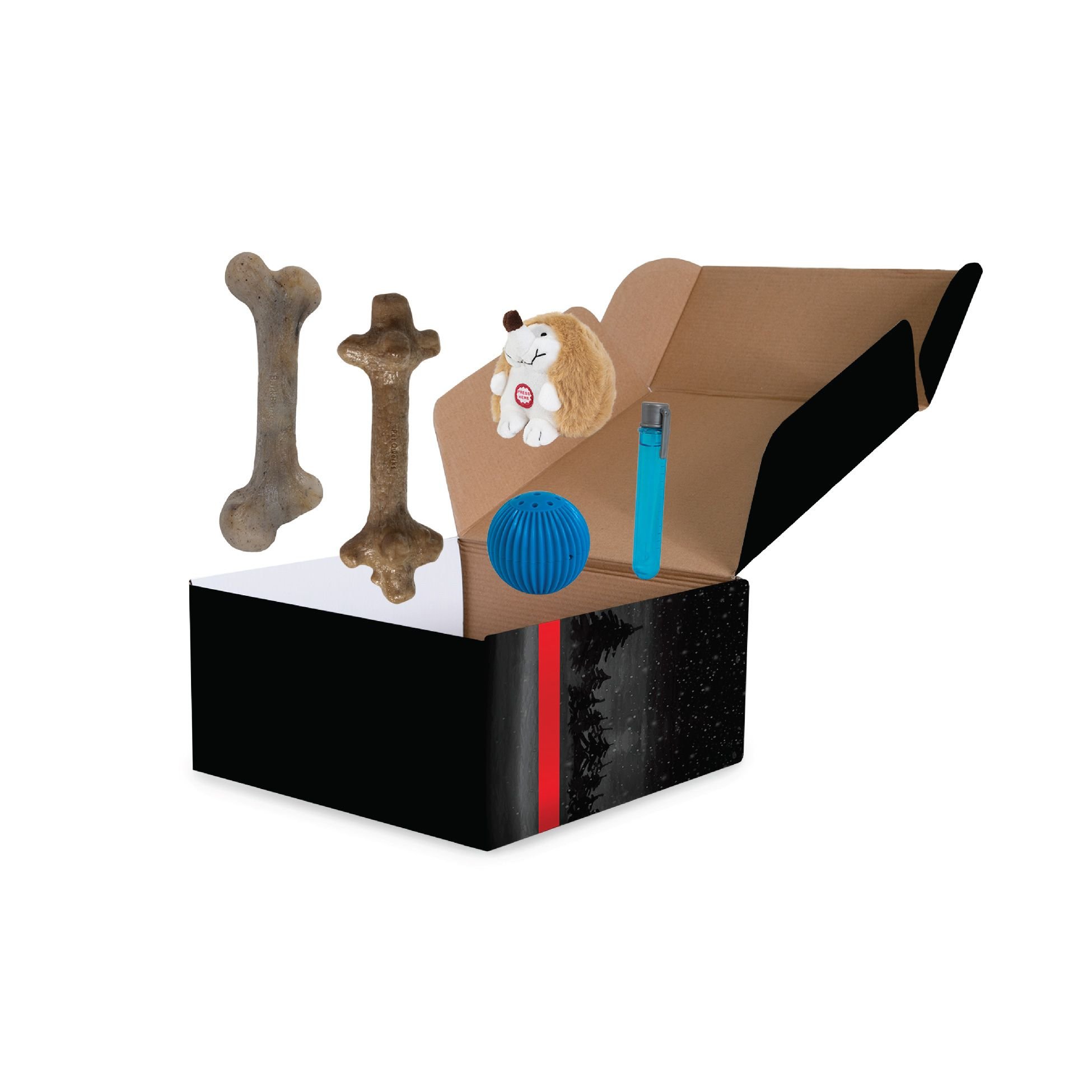 PET QWERKS Small Holiday Gift Box Dog Toy reviews - Chewy.com