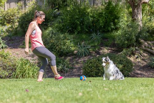 Show full view: Chuckit! Giggle Kick Fetch Dog Toy, Blue slide 5 of 5