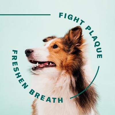 Show full view: SUCHGOOD Oral Care Gel Cat & Dog Breath Freshner, 4-fl oz bottle slide 8 of 8