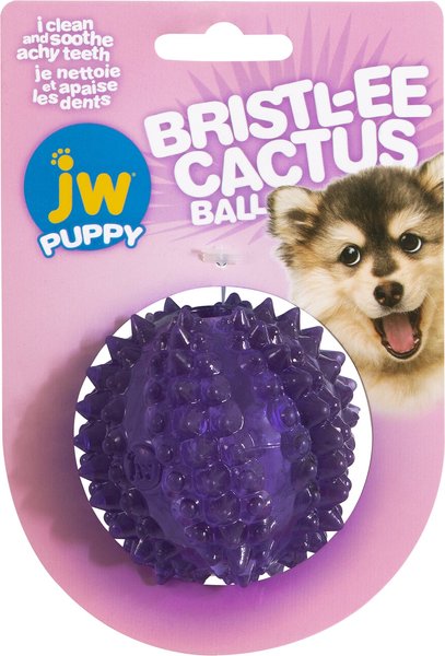 JW Pet Bristly Cactus Ball Dog Toy, Purple slide 1 of 5
