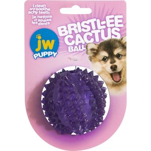 JW Pet Bristly Cactus Ball Dog Toy, Purple