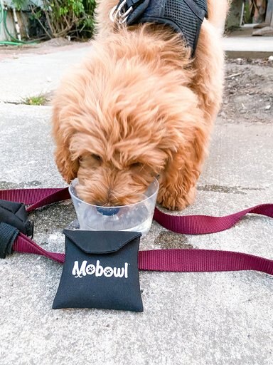 Mobowl Carrying Pouch Travel Dog & Cat Bowl, 2-cup