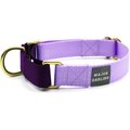 Major Darling Martingale Dog Collar, Lilac/Violet, Medium