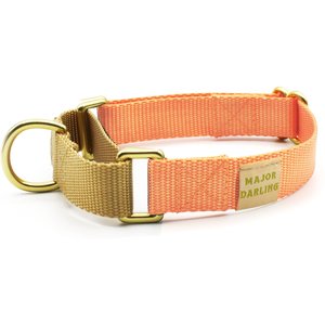 Major Darling Martingale Dog Collar, Peach/Gold, Small