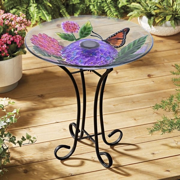 HI-LINE GIFT Solar Floral Glass Monarch Butterfly Bird Bath with Stand ...