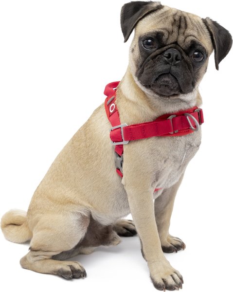 Kurgo Walk About No-Pull Dog Harness, Red, X-Small slide 1 of 9
