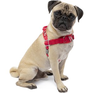 Kurgo Walk About No-Pull Dog Harness, Red, Small