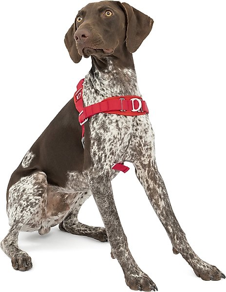 Kurgo Walk About No-Pull Dog Harness, Red, Medium slide 1 of 9