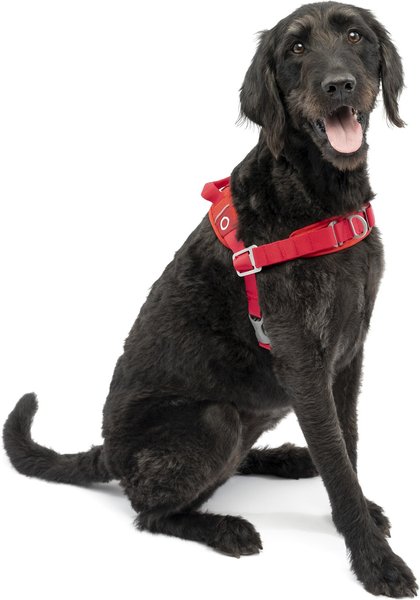 Kurgo Walk About No-Pull Dog Harness, Red, Large slide 1 of 9