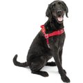 Kurgo Walk About No-Pull Dog Harness, Red, X-Large