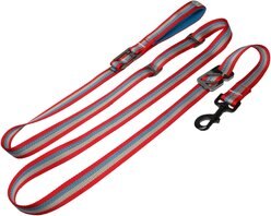Kurgo Walk About No-Pull Dog Leash, Multi-color
