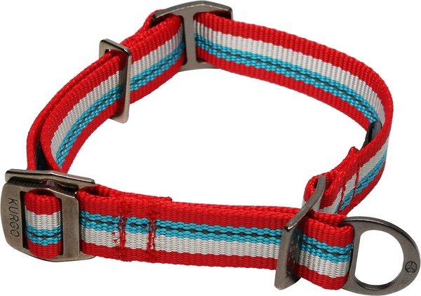 Kurgo Walk About Limited Slip Dog Collar, Multi-color, Small slide 1 of 6