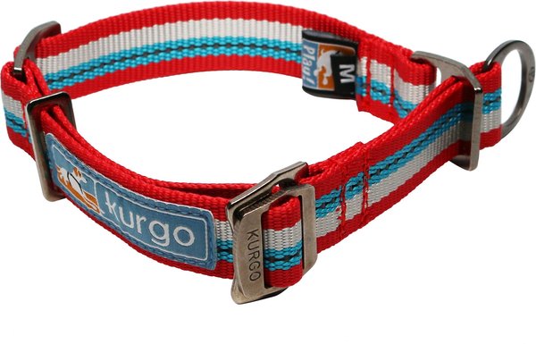 Kurgo Walk About Limited Slip Dog Collar, Multi-color, Large slide 1 of 6