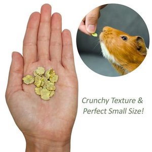 Exotic Nutrition Green Pea Flakes Small Pet Treat, 3-oz bag