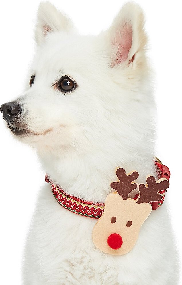 BLUEBERRY PET Christmas Holiday Adjustable Dog Collar, Reindeer, Medium