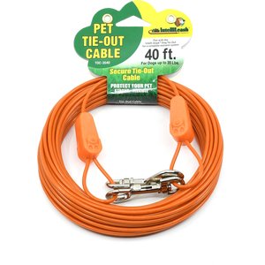 IntelliLeash Tie-Out Dog Cables, 40-ft, 35-lb