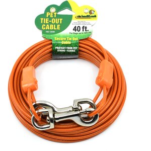 Pet champion toy reflective best sale tie out cable for dogs