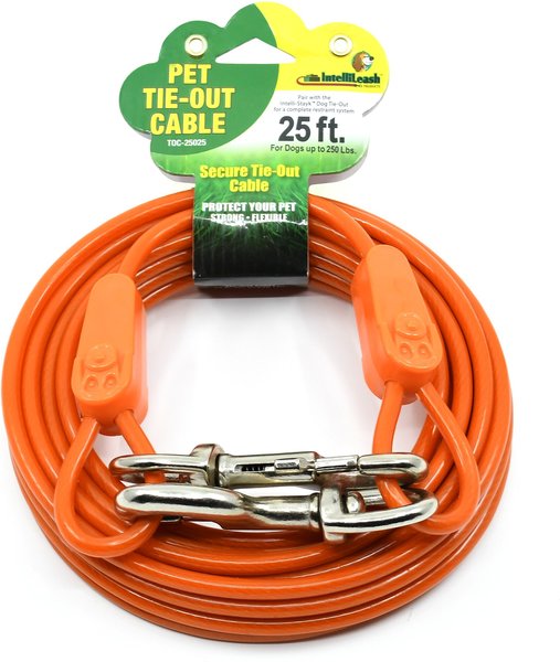 IntelliLeash Tie-Out Dog Cables, 25-ft, 250-lb slide 1 of 6