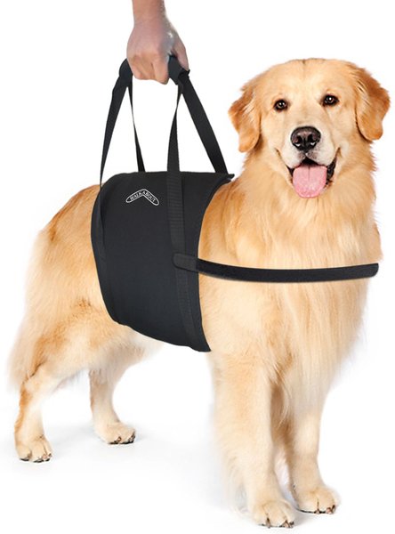 Walkabout Harnesses Walkabelly Support Sling Dog Harness, Black, Large slide 1 of 7