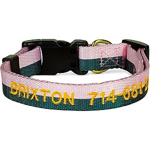 Boulevard Personalized Stripe Dog Collar, Large