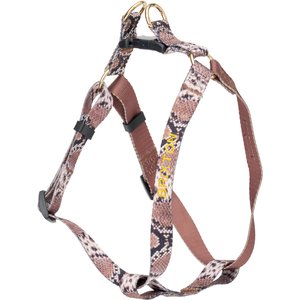 Boulevard Personalized Snake Dog Harness, Medium