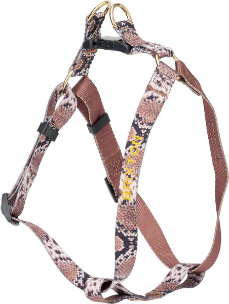 Chewy Brown Dog Harness Leash Set
