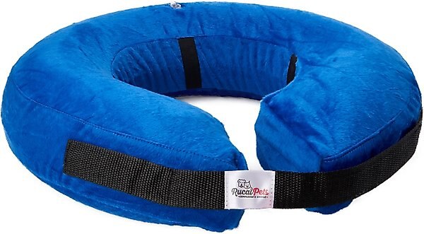 Rucal Pets Inflatable Recovery Dog Collar, Blue, Large slide 1 of 7