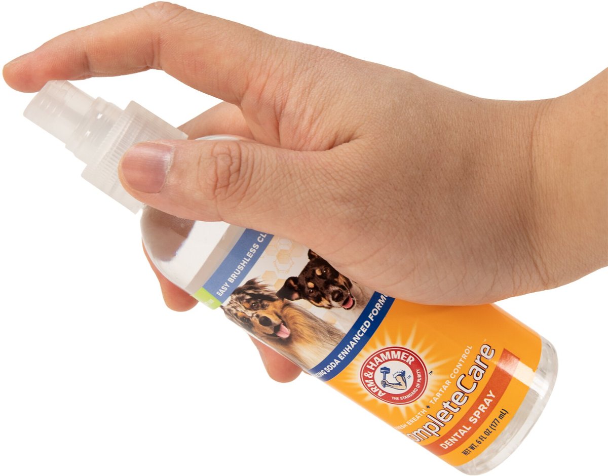 Arm and hammer outlet dental spray for dogs