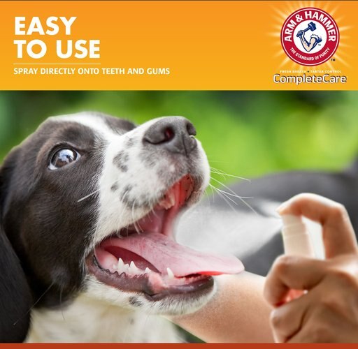 ARM & HAMMER PRODUCTS Complete Care Mint Flavored Dog Dental Spray, 6-oz bottle