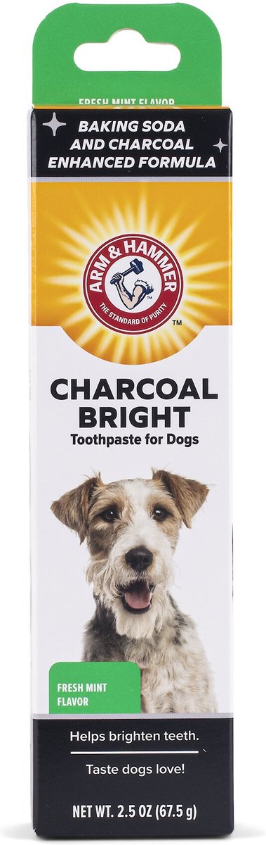 is charcoal toothpaste safe for dogs