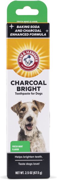 Arm & Hammer Charcoal Bright Dog Toothpaste, 2.5-oz tube slide 1 of 5