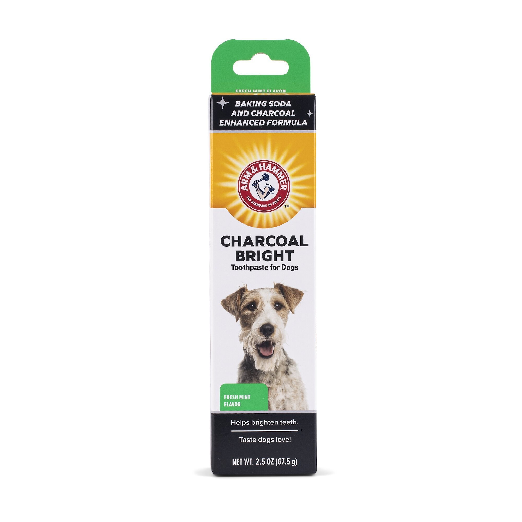 ARM & HAMMER PRODUCTS Charcoal Bright Dog Toothpaste, 2.5oz tube