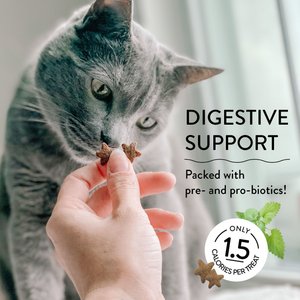 Shameless Pets Catnip N Chill Crunchy Cat Treats, 2.5-oz bag