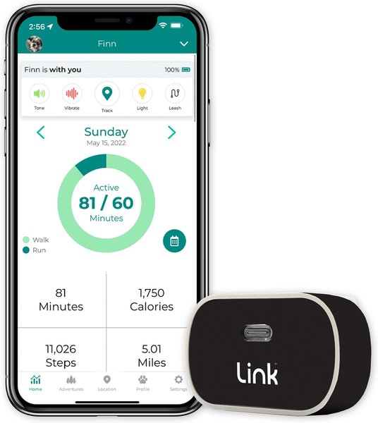 Link My Pet Dog GPS & Activity Tracker with Training Tools & Wrap, Black  slide 1 of 12
