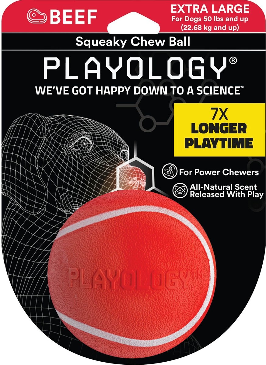 Playology Beef Scented Squeaky Chew Ball Dog Toy
