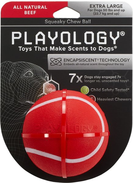 Playology Scented Squeaky Chew Ball Dog Toy, X-Large, Beef Scented slide 1 of 9