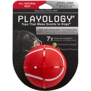 Playology Scented Squeaky Chew Ball Dog Toy, X-Large, Beef Scented