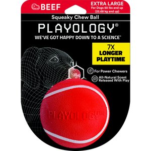 Playology Scented Squeaky Chew Ball Dog Toy, X-Large, Beef Scented