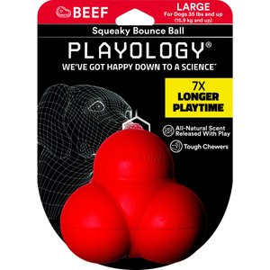 Playology All Natural Beef Scented Squeaky Bounce Ball Dog Toy, Red, Large