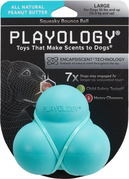 Playology All Natural Peanut Butter Scented Squeaky Bounce Ball Dog Toy, Blue, Large slide 1 of 3